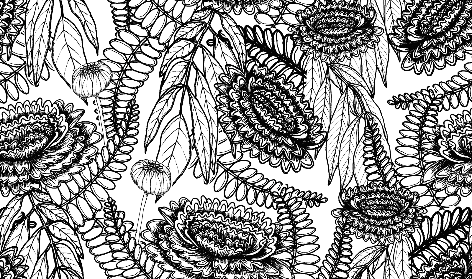 Layer7