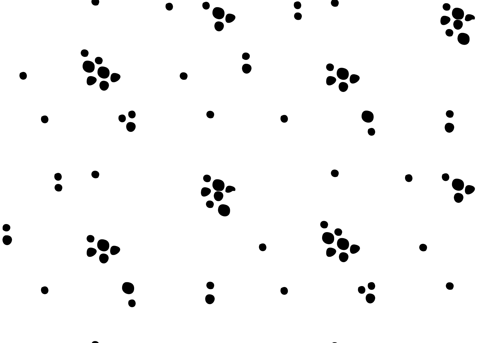 Layer4